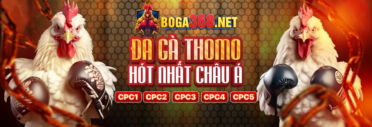 Hướng dẫn chơi game J8BET Casino